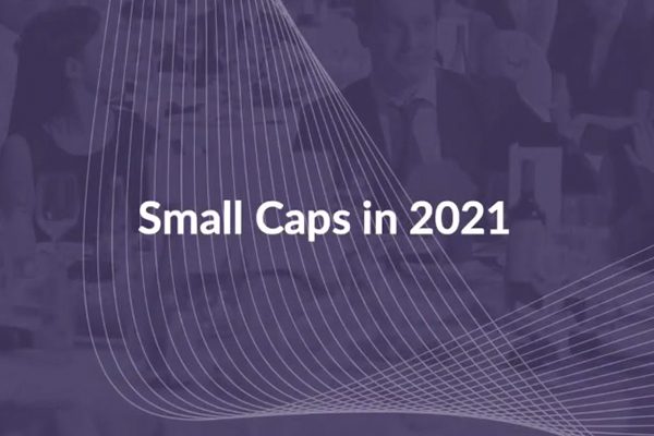 Webinar – Review of Small Caps 2021