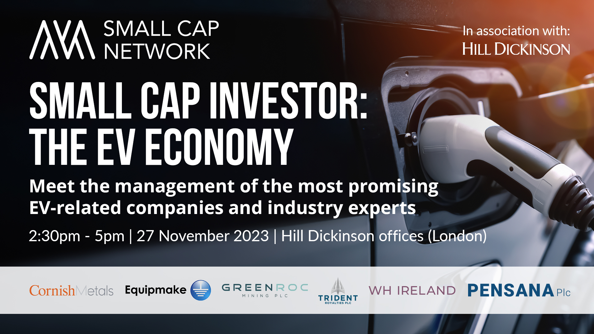 Small Cap Investor: The EV Economy